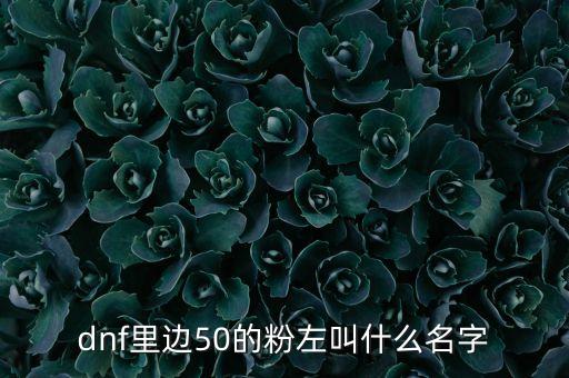 dnf里边50的粉左叫什么名字