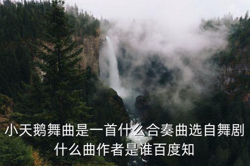 小天鹅舞的音乐，小天鹅舞曲是一首什么合奏曲选自舞剧什么曲作者是谁百度知
