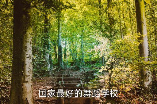 国家最好的舞蹈学校