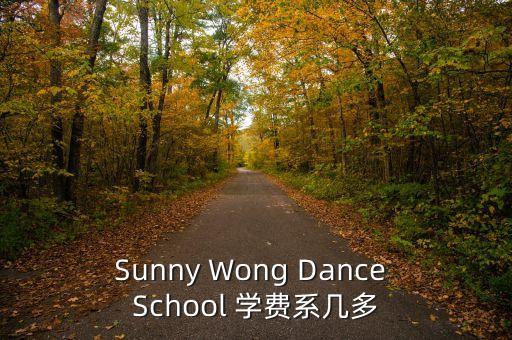 中德北艺舞蹈学校学费，北京艺德艺考学费要多少