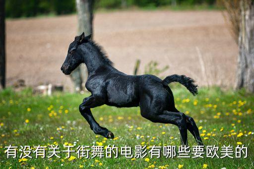 有没有关于街舞的电影有哪些要欧美的
