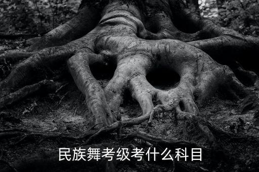 民族舞考级考什么科目