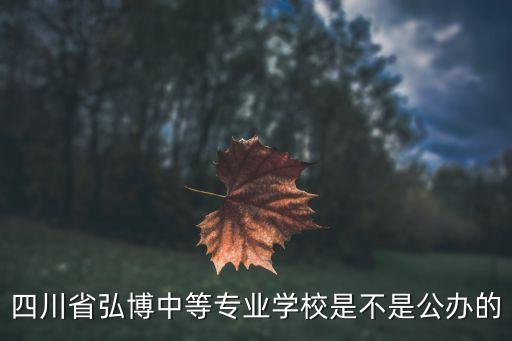 弘博体校公立的还是民办的，四川省弘博中等专业学校是不是公办的