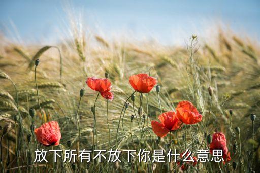 放下所有不放下你是什么意思