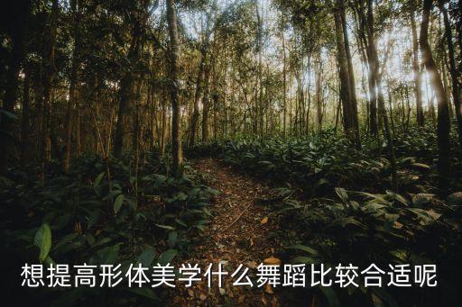 什么舞蹈修炼完美身材，哪种舞蹈对塑形最有帮助啊