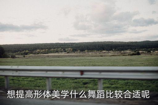 想提高形体美学什么舞蹈比较合适呢