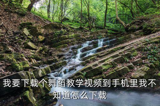 我要下载个舞蹈教学视频到手机里我不知道怎么下载