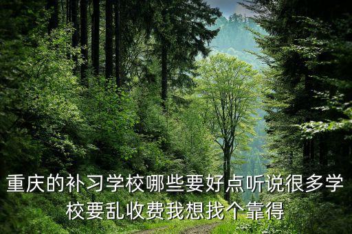 重庆的补习学校哪些要好点听说很多学校要乱收费我想找个靠得