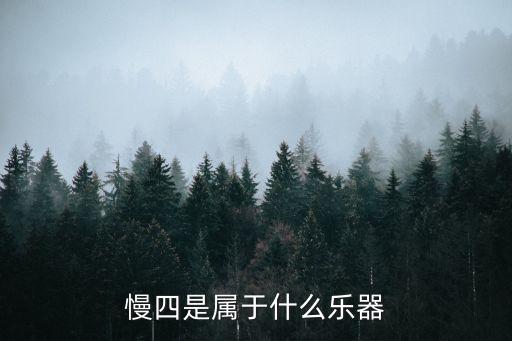 慢四是属于什么乐器