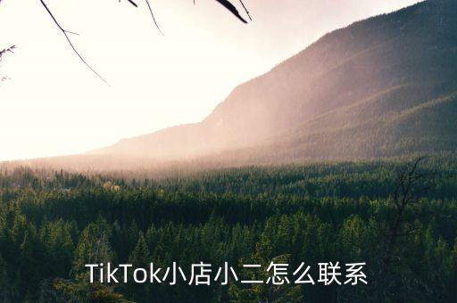 TikTok小店小二怎么联系