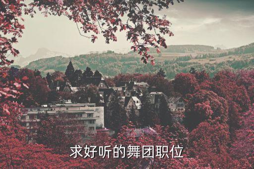 求好听的舞团职位