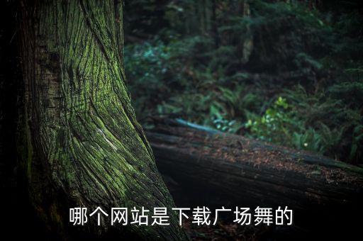 哪个网站是下载广场舞的