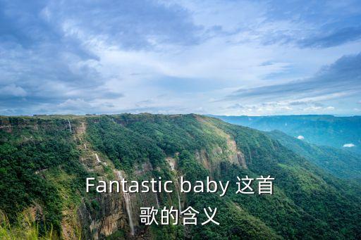 Fantastic baby 这首歌的含义