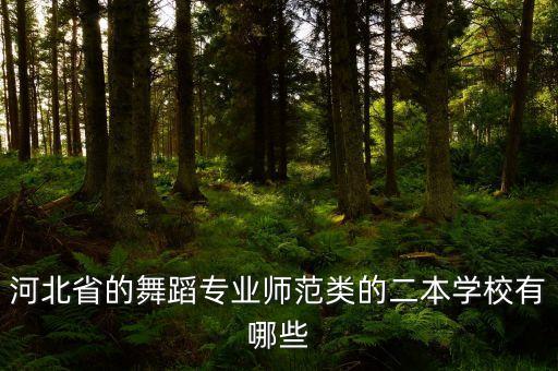 河北省的舞蹈专业师范类的二本学校有哪些