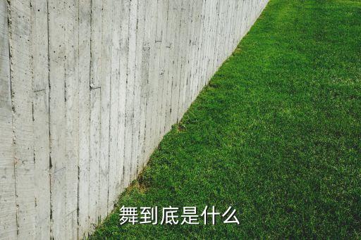 舞到底是什么