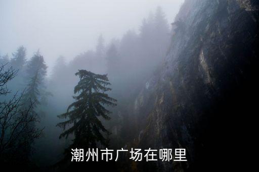 潮州市广场在哪里