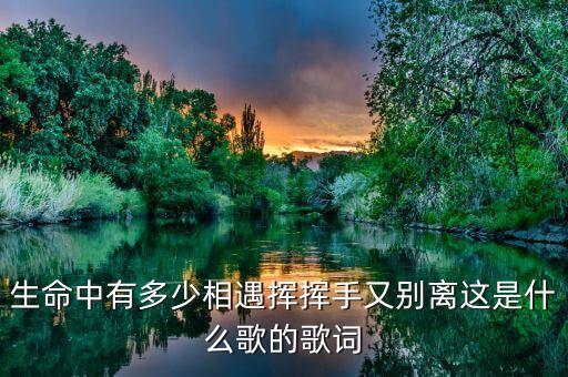 生命中有多少相遇挥挥手又别离这是什么歌的歌词
