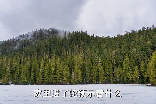 家里进了蛇预示着什么