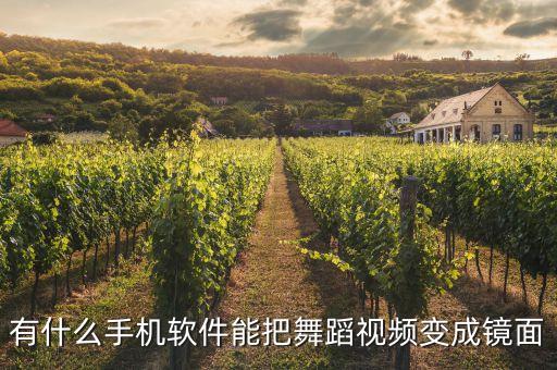 拍舞蹈视频怎么运镜，有什么手机软件能把舞蹈视频变成镜面