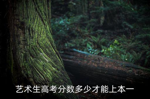 舞蹈艺考多少分能上一本，一本舞蹈艺术生录取分数线