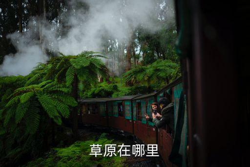 草原在哪里广场舞视频，草原在哪里