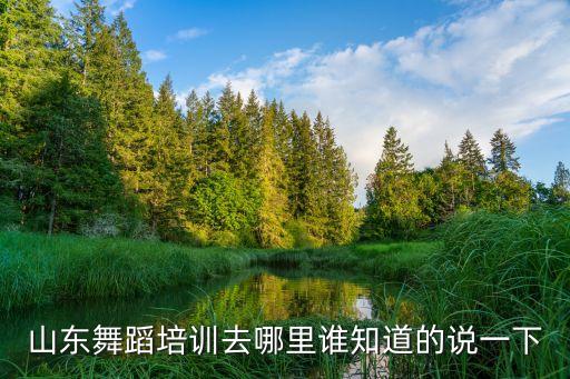 山东舞蹈培训去哪里谁知道的说一下