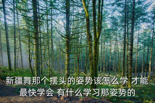 新疆舞那个摆头的姿势该怎么学 才能最快学会 有什么学习那姿势的