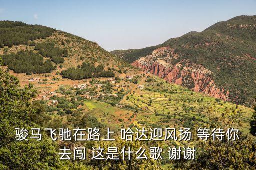 哈达迎风样什么歌歌词，骏马飞驰在路上 哈达迎风扬 等待你去闯 这是什么歌 谢谢