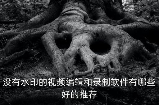 没有水印的视频编辑和录制软件有哪些好的推荐