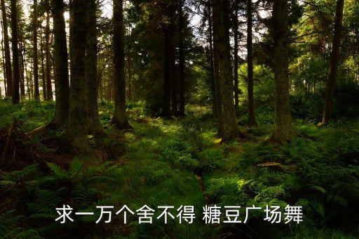 求一万个舍不得 糖豆广场舞