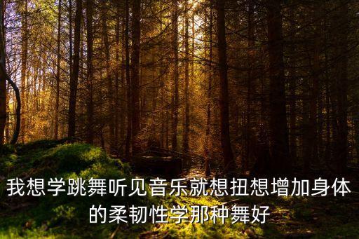 柔韧性好学什么舞种，我想学跳舞听见音乐就想扭想增加身体的柔韧性学那种舞好