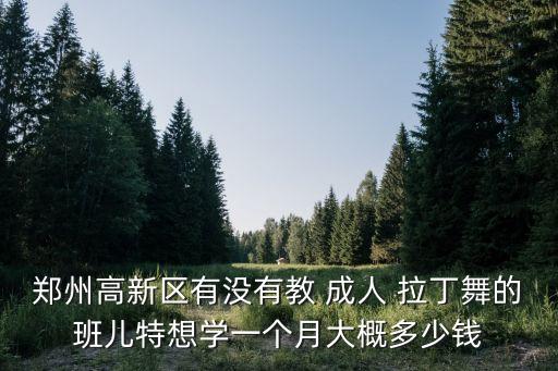 郑州高新区有没有教 成人 拉丁舞的班儿特想学一个月大概多少钱