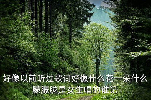 什么花一朵什么小情歌，花一朵是什么歌