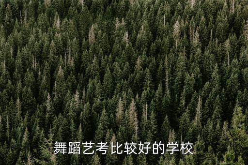 舞蹈艺考比较好的学校