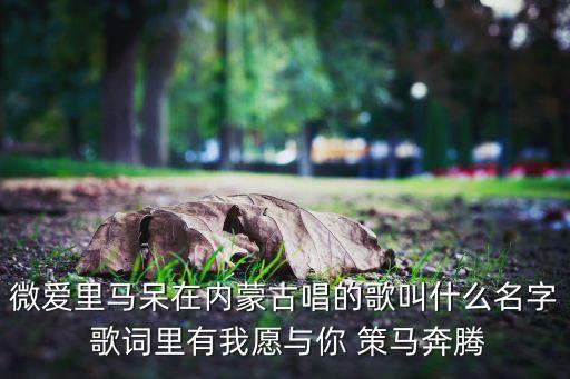 微爱里马呆在内蒙古唱的歌叫什么名字 歌词里有我愿与你 策马奔腾