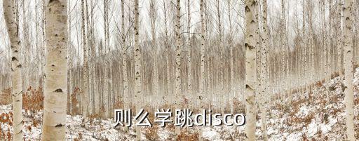 则么学跳disco