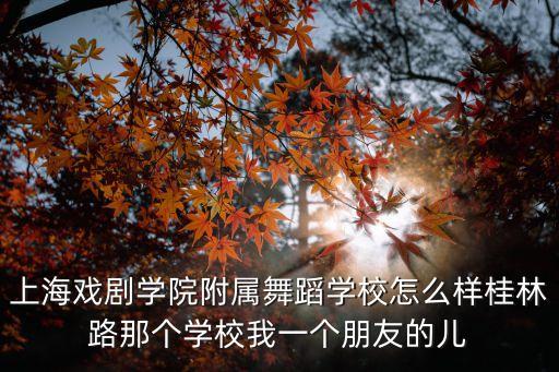 上海戏剧学院附属舞蹈学校怎么样桂林路那个学校我一个朋友的儿