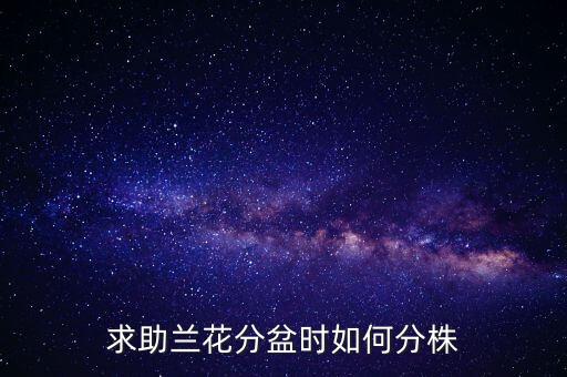 求助兰花分盆时如何分株