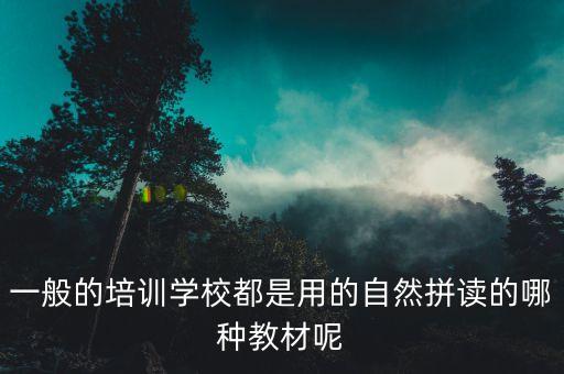 一般的培训学校都是用的自然拼读的哪种教材呢