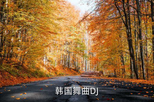 韩国舞曲DJ
