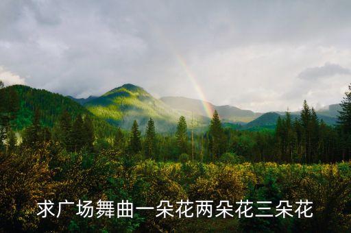求广场舞曲一朵花两朵花三朵花