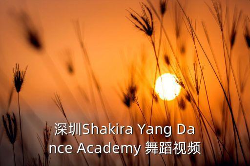 深圳Shakira Yang Dance Academy 舞蹈视频