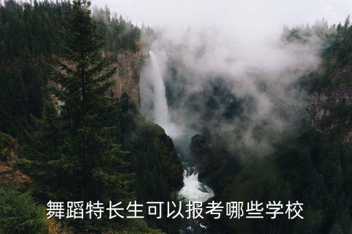 舞蹈特长生可以报考哪些学校