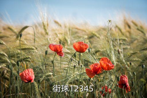 全民街球，街球12345