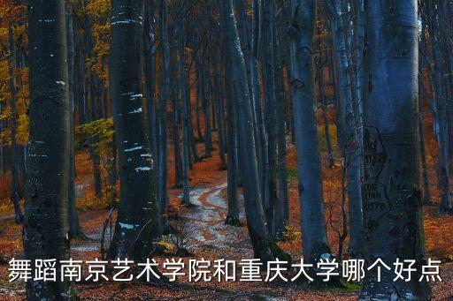 舞蹈南京艺术学院和重庆大学哪个好点