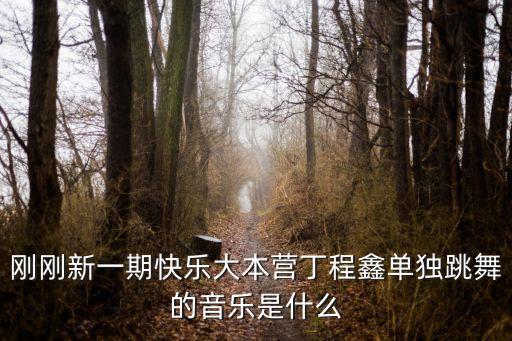 刚刚新一期快乐大本营丁程鑫单独跳舞的音乐是什么