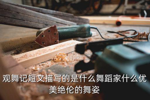 观舞记短文描写的是什么舞蹈家什么优美绝伦的舞姿