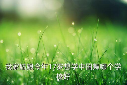 我家姑娘今年17岁想学中国舞哪个学校好