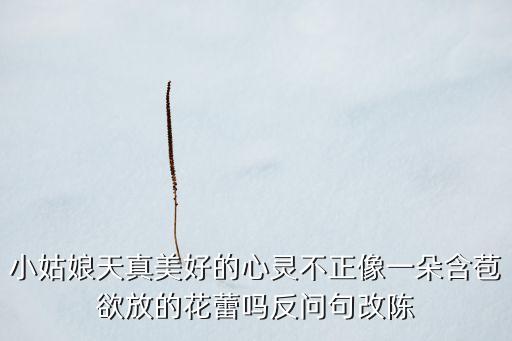 小姑娘天真美好的心灵不正像一朵含苞欲放的花蕾吗反问句改陈