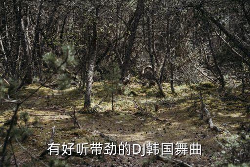 有好听带劲的DJ韩国舞曲